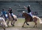Pferd International 036